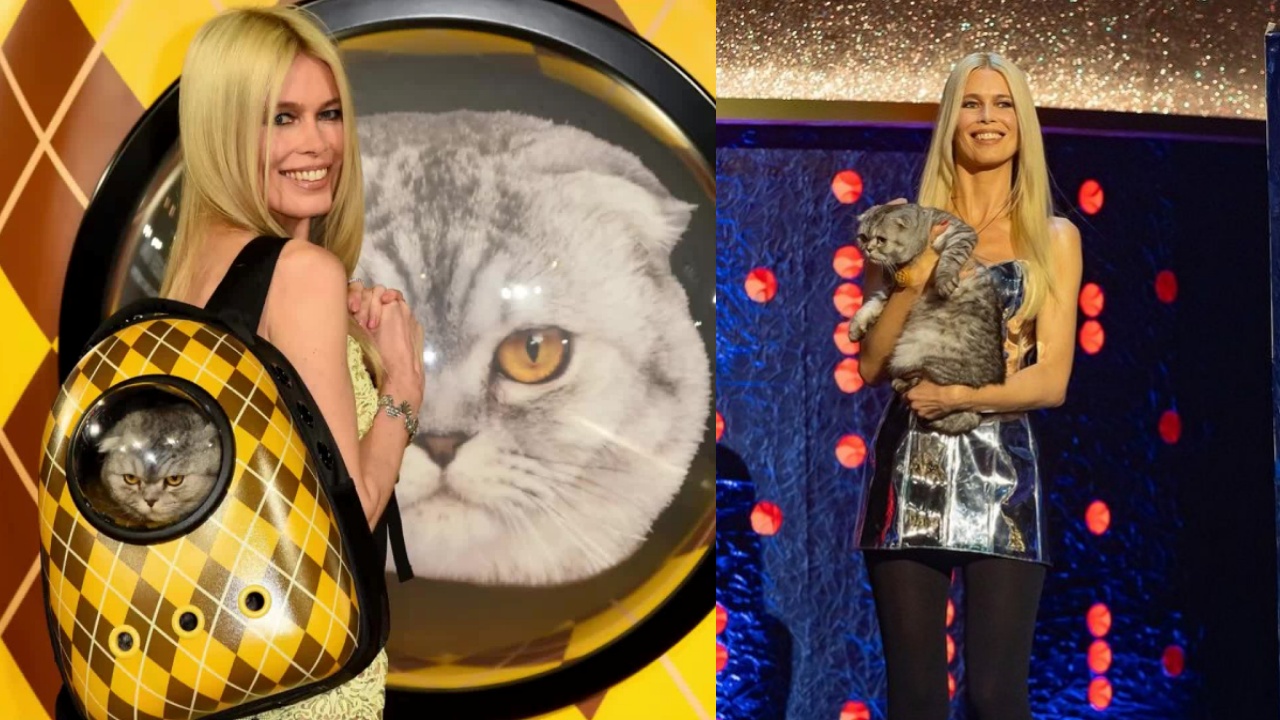 gatto di Claudia Schiffer alla prima internazionale