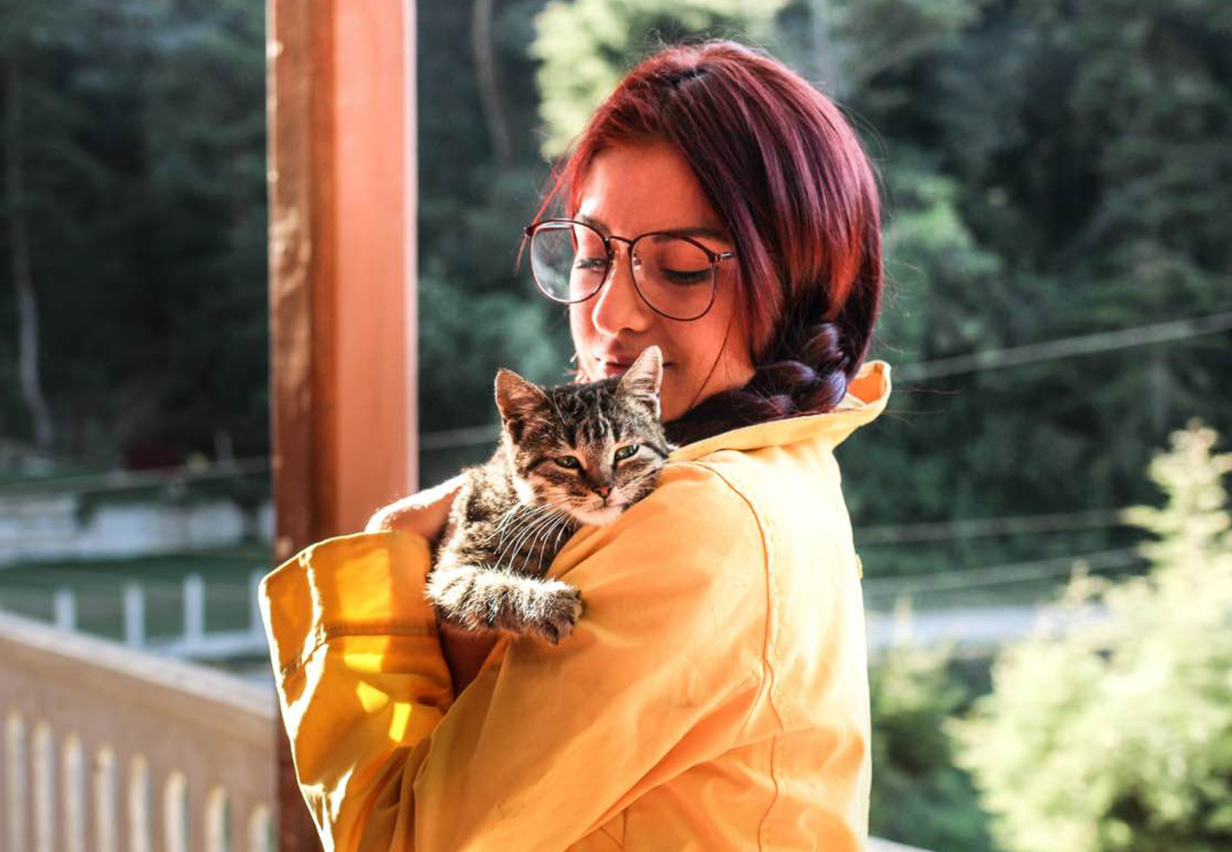 cat sitter si prende cura del gatto