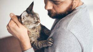 Perché il gatto affonda gli artigli su di me?