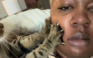 Questa donna sopporta pazientemente l’amore del suo gattino che non smette di “impastarle” il muso (VIDEO)