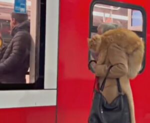 È successo a Milano: la donna con il gatto sulla spalla ha lasciato tutti di stucco