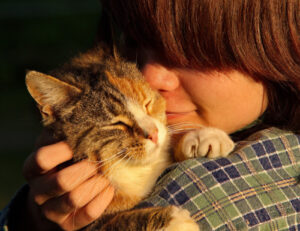 Vi siete mai chiesti se i gatti possono essere animali di servizio? Adesso abbiamo la risposta