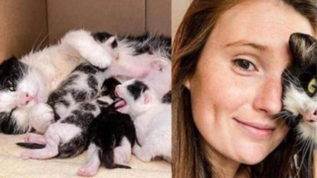 Anne con Luna e i suoi gattini