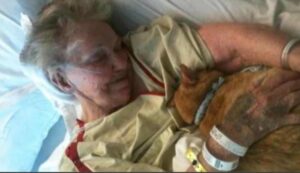 Hanno voluto esaudire l’ultimo desiderio di questa anziana donna: dire addio al gatto, il suo più grande amore