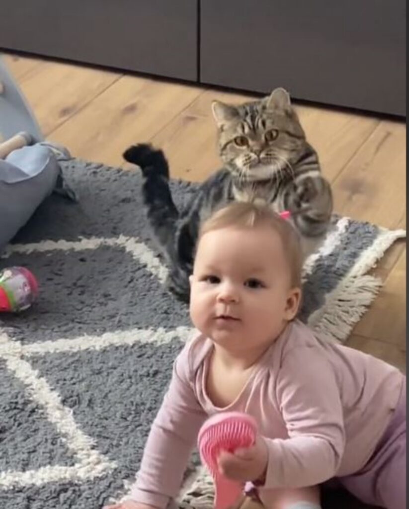 una bimba gioca con un gatto