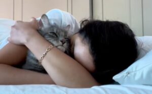 La mamma lascia il gatto fuori dalla camera da letto e lui trova un modo per farle capire che non è affatto d’accordo (VIDEO)