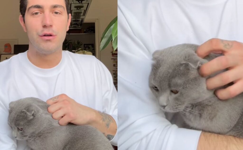L’accorato discorso di Tommaso Zorzi sulla malattia del suo gatto Priscilla: “Sono stato stupido” (VIDEO)