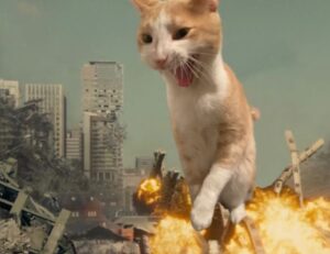 E se i gatti fossero enormi? Queste 5 foto di catzilla vi faranno essere estremamente felici delle loro dimensioni reali