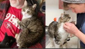 A ben 21 anni questo gatto ha perso tutte le sue certezze, ma per lui la vita in realtà stava solo per iniziare