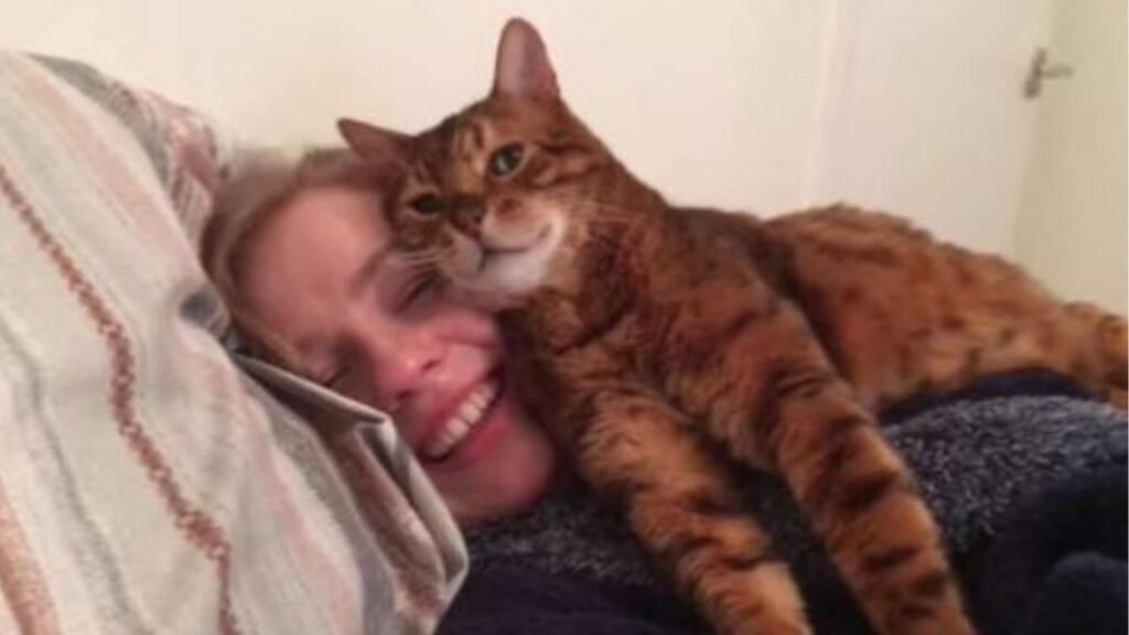 un gatto con una donna