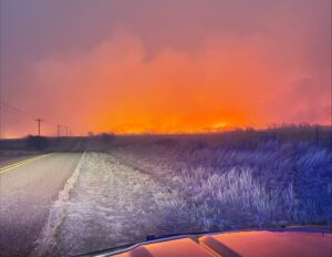 Gatto nero sopravvive a un incendio nel Texas e aiuta a salvare altri micini