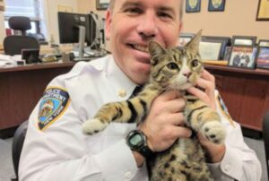 Gli agenti trovano un gattino che gironzola nei dintorni della stazione di polizia: decidono di parlarne subito con il loro capo