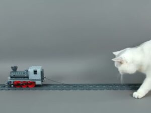 Sì, c’è un ingegnere che ha deciso di creare un treno per gatti fatto con il mattoncini più famosi del mondo