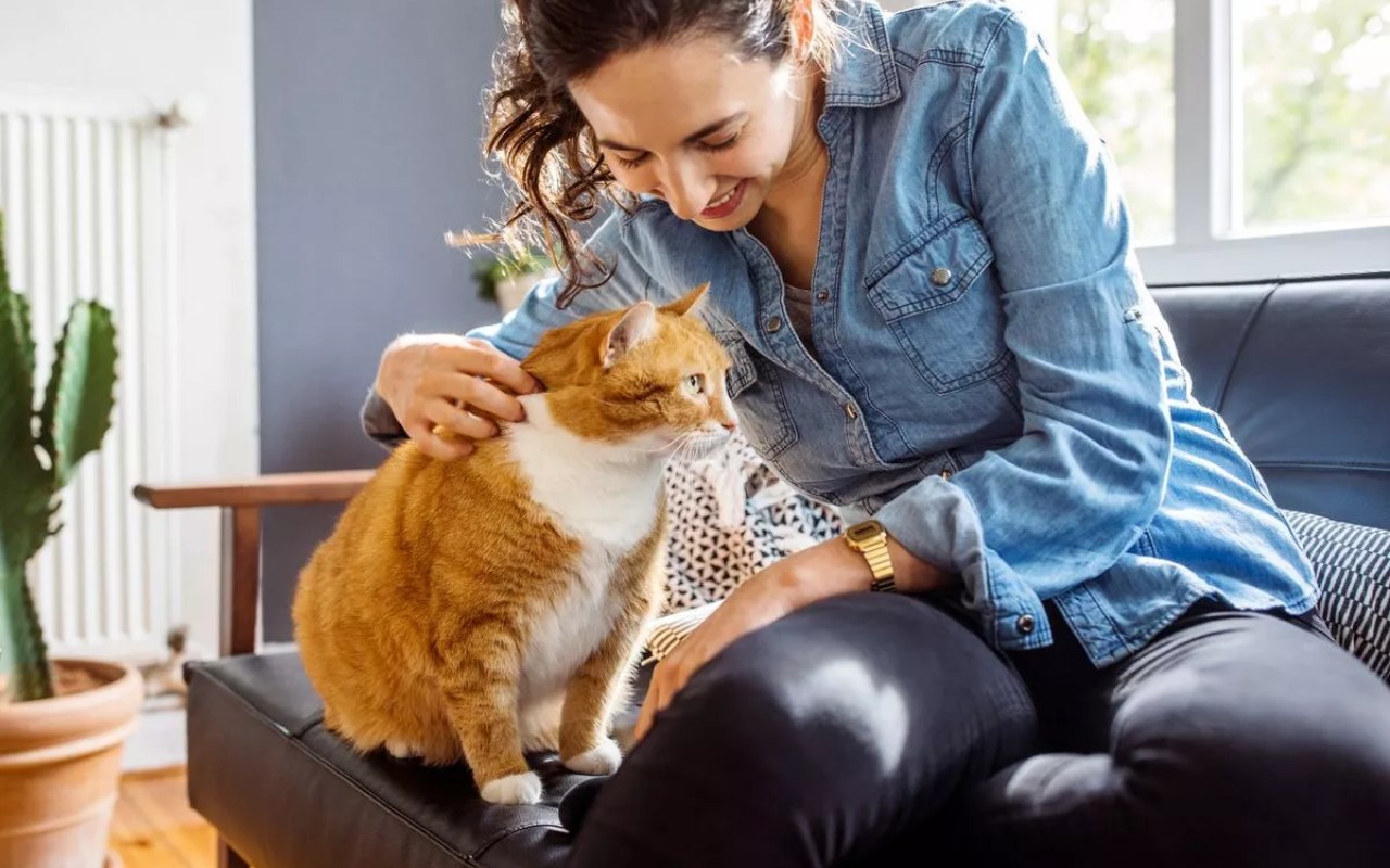 ragazza che coccola il suo gatto