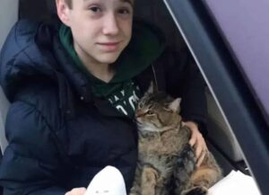 Lanciano il gatto fuori da un auto, ma un ragazzino di 14 anni vede la scena e decide di fare subito qualcosa