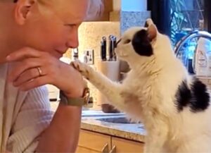 Questo gatto di 20 anni è affetto da demenza senile, ma niente gli impedirà di amare per sempre la sua mamma umana