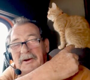 Senza loro la sua vita non sarebbe la stessa: questo anziano camionista ha dei gattini che sono il motivo per cui è felice
