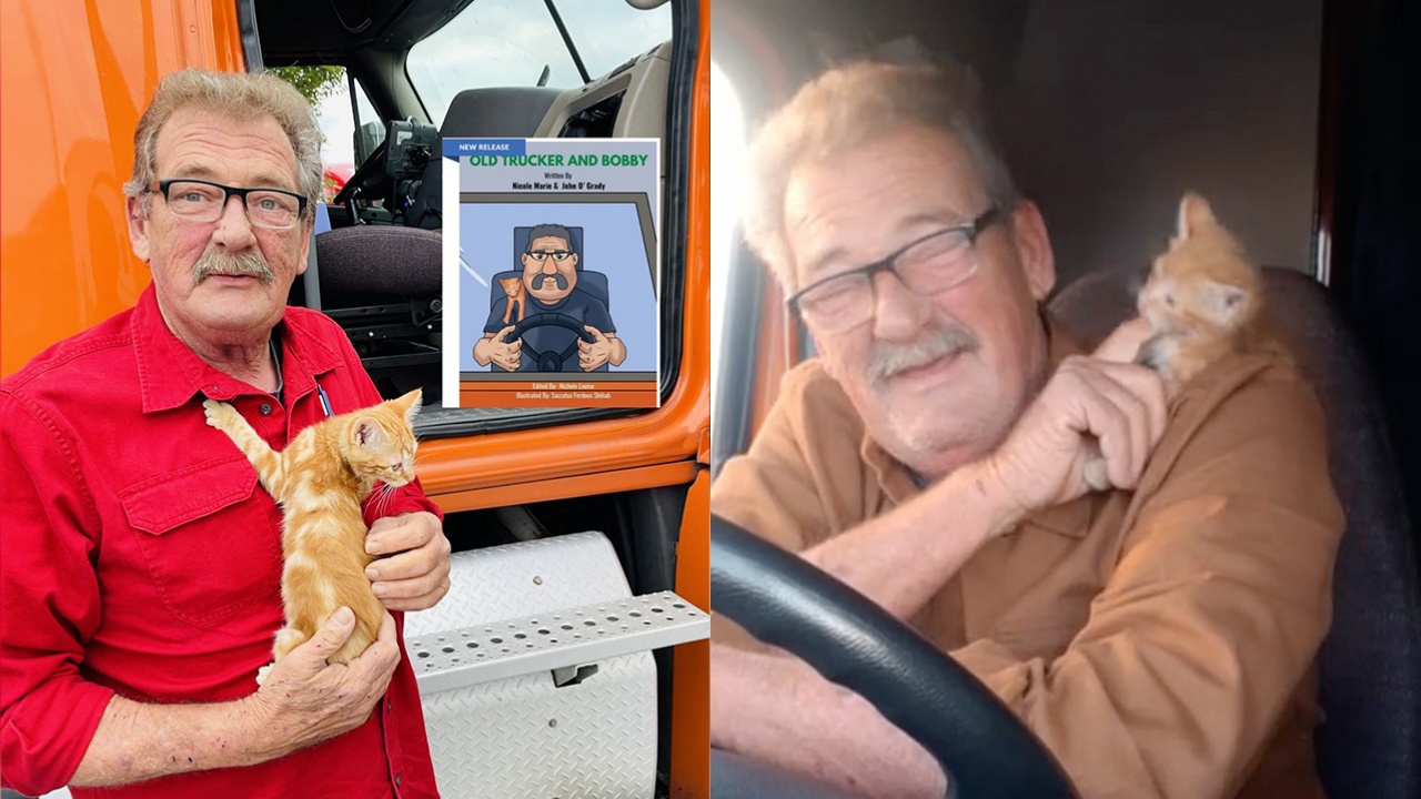 camionista adotta gattini