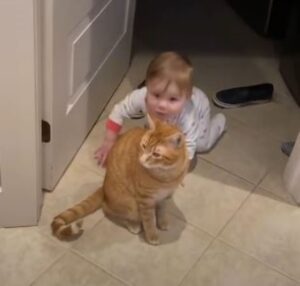 No, non se la perderebbe per nulla al mondo: questo gatto adora dare la buonanotte alla sua sorellina umana