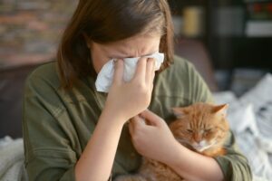 Esiste un gatto che non dà allergia?