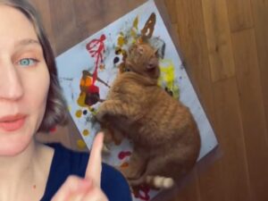 Questa donna ha dimostrato che anche i gatti possono essere veri artisti: ecco come ha fatto