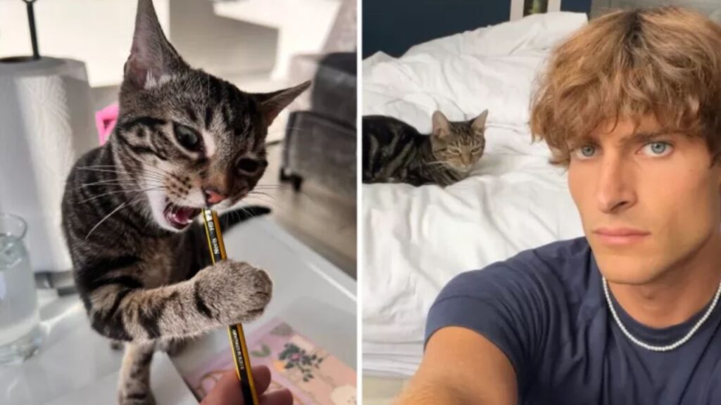 ragazzo che scatta un selfie con il gatto