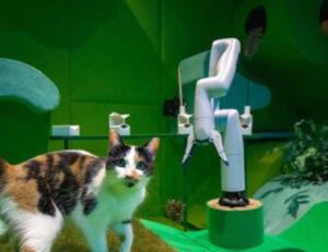 Adesso esistono i robot amici dei gatti: coccolano i felini e se ne prendono cura