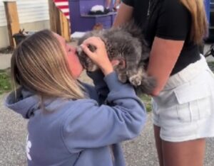 Hanno condiviso la stanza all’università, ma ora è arrivato il momento di dire addio al gatto che è stato sempre con loro