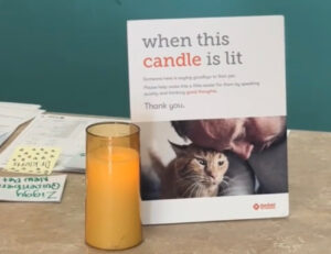 La donna nota una candela accesa dal veterinario, quando capisce il motivo scoppia in lacrime
