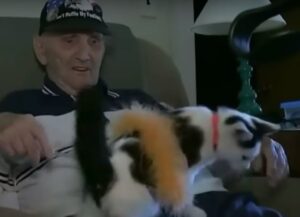 Questo gatto è un vero eroe, ha salvato l’anziano padrone di 84 anni dopo una caduta in bagno