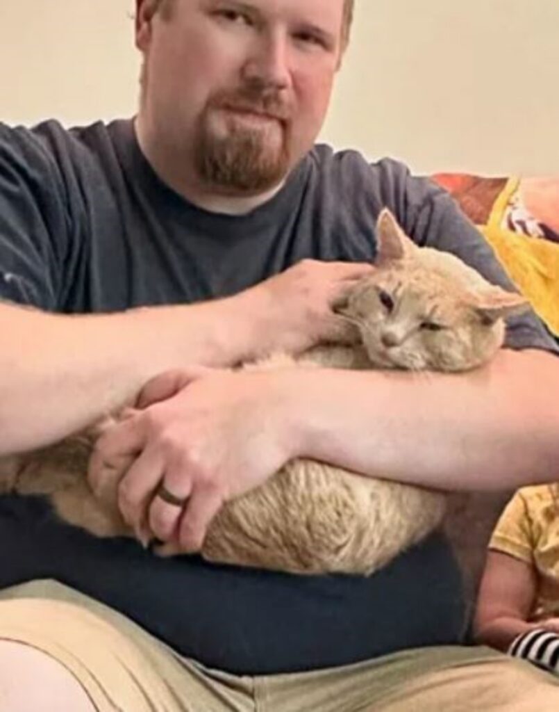 gatto in braccio ad un uomo