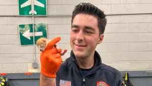 Il pompiere sente delle “grida” provenire da un tubo e trova quattro gattini rannicchiati e disperati
