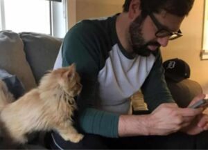 Questo simpatico gattino non riesce a smettere di sorridere dopo essere stato adottato