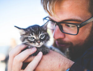Sì, la scienza riesce a dirci quali sono i motivi per cui i gatti ci rendono così felici