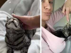 La donna controlla il baby monitor e assiste a una scena speciale: il gatto non aveva intenzione di andarsene