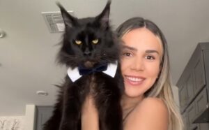 La mamma dei due Maine Coon decide di mostrare a tutti la preziosa trasformazione dei suoi “gattini” (VIDEO)