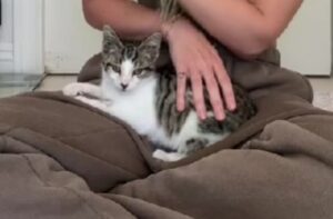 La donna sta andando ad allenarsi, quando un gattino velocissimo la precede dentro la sua palestra