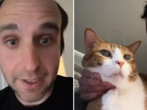 L’uomo teme che il gatto stia diventando cieco, ma dopo aver speso tantissimi soldi dal veterinario riceve una diagnosi inattesa
