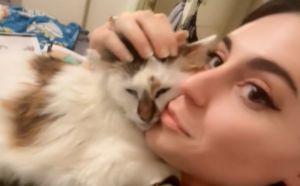 La donna adotta un gatto a cui “non piacciono le persone”, ma scopre come stanno davvero le cose (VIDEO)