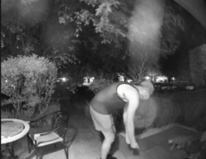 Proprietario del gatto scomparso lo riabbraccia: era stato lasciato uscire per sbaglio e lui era disperato