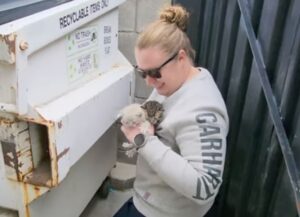 Hanno avvistato due gattini che stavano dietro un cassonetto, per fortuna si sono precipitati ad aiutarli