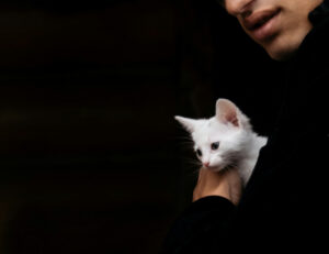 Le 5 frasi più significative sul rapporto fra uomo e gatto: vi ci ritrovate?