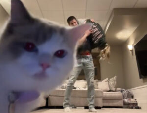 Una mossa alla “Dirty Dancing”: il gatto ruba la scena su TikTok con un’entrata spettacolare