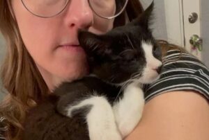 Una donna interviene per aiutare il fragile gattino nato in rifugio: il suo benessere è una priorità