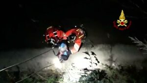 Gatto caduto dalla finestra e intrappolato sul fiume: come hanno salvato Zazà