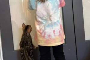 Hanno dato una possibilità a una coppia di gattini, ma non credevano che si sarebbero trasformati in un magico trio
