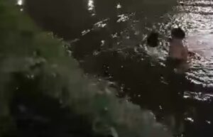 Ragazzino si butta nel canale per salvare i gattini che stanno annegando