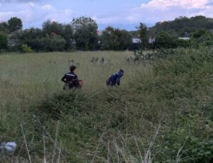 Cinque gattini abbandonati a Pompei salvati dai Vigili Urbani