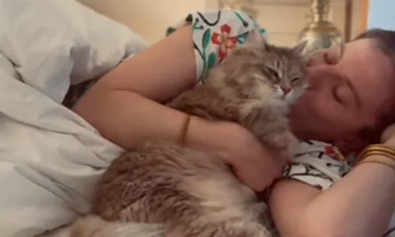 Gatto dorme con la proprietaria
