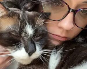 Cosa ha fatto la vicina di casa dopo la morte del suo gatto
